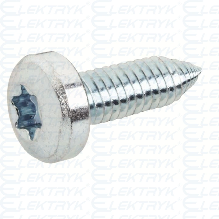 RZ14P20 Blachowkręt do mocowania Zawiasów M6 (1opak=20szt.)