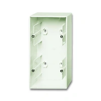 Mounting Box 2 gang chalet white - Basic55