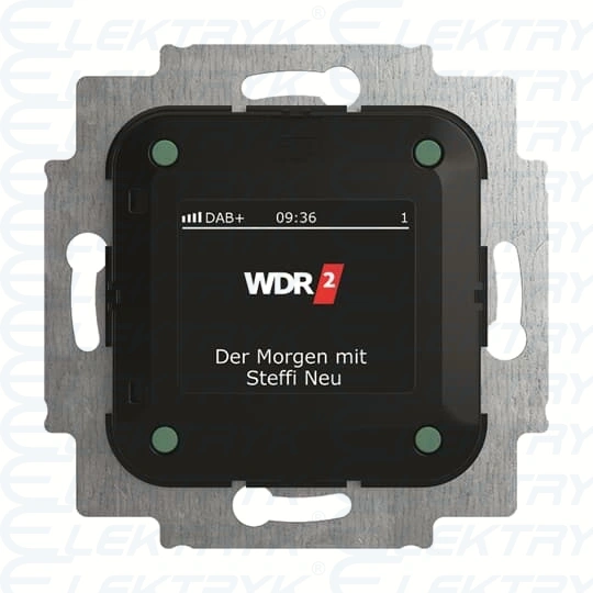 8215 U-101-500^Busch-Radio, DAB+, ABB