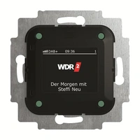 8215 U-101-500^Busch-Radio, DAB+, ABB