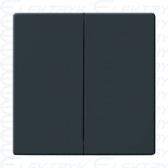 1785-81^KLAWISZ PODWÓJNY DO WYŁĄCZNIKÓW: ŚWIECZNIKOWEGO, PODWÓJNEGO SCHODOWEGO I PODWÓJNEGO ZWIERNEGO. -CARAT,FUTURE-ANTRACYT