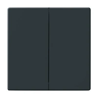 1785-81^KLAWISZ PODWÓJNY DO WYŁĄCZNIKÓW: ŚWIECZNIKOWEGO, PODWÓJNEGO SCHODOWEGO I PODWÓJNEGO ZWIERNEGO. -CARAT,FUTURE-ANTRACYT