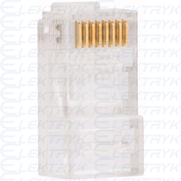 EASY-NT-RJ45 wtyczka sieci 256280