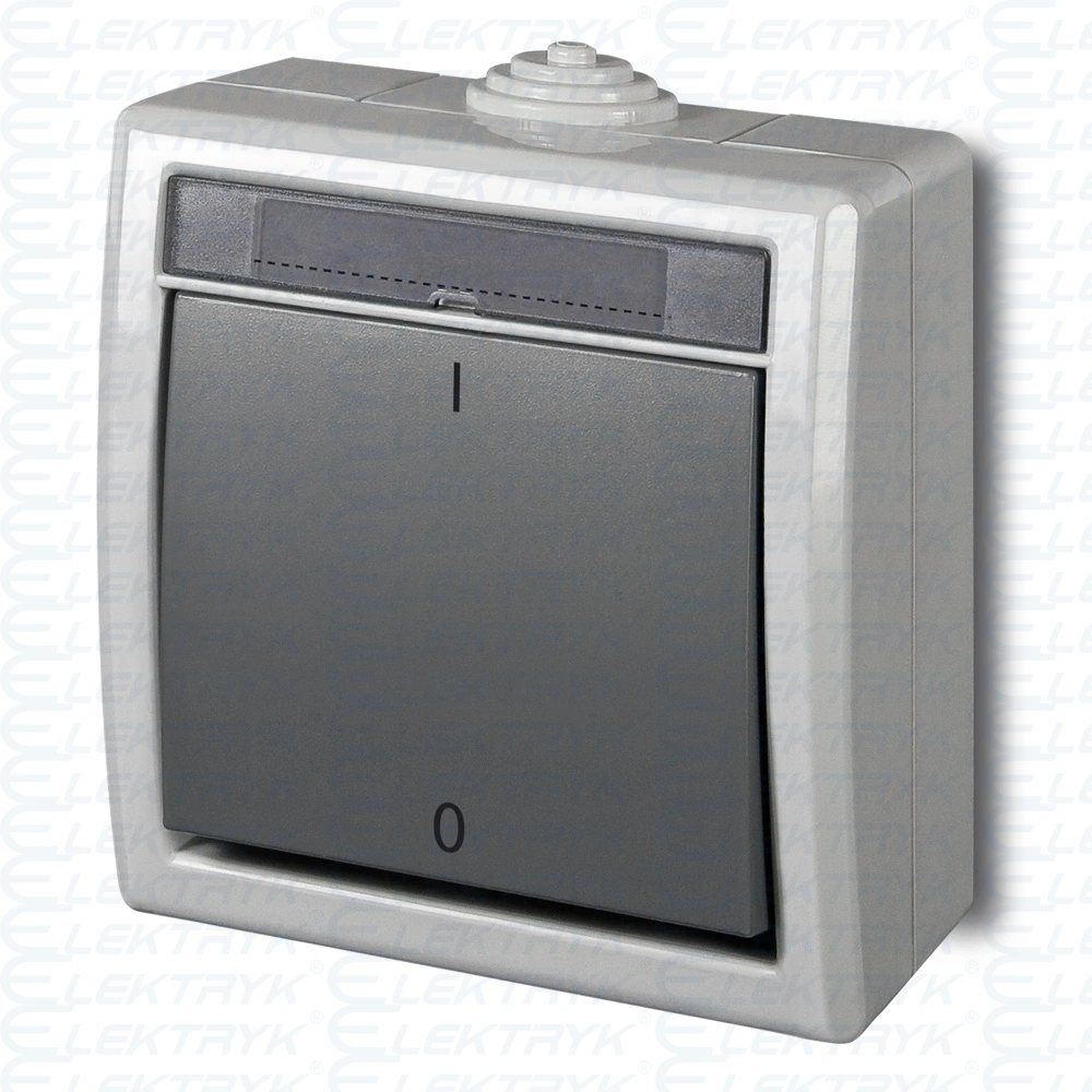 AQUANT Łącznik dwubiegunowy natynkowy ŁNT-2 10A IP55 szary