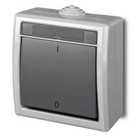 AQUANT Łącznik dwubiegunowy natynkowy ŁNT-2 10A IP55 szary