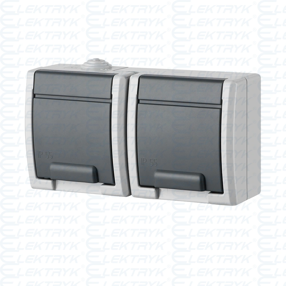 AQUANT gniazdo 2x2P+Z szare IP55