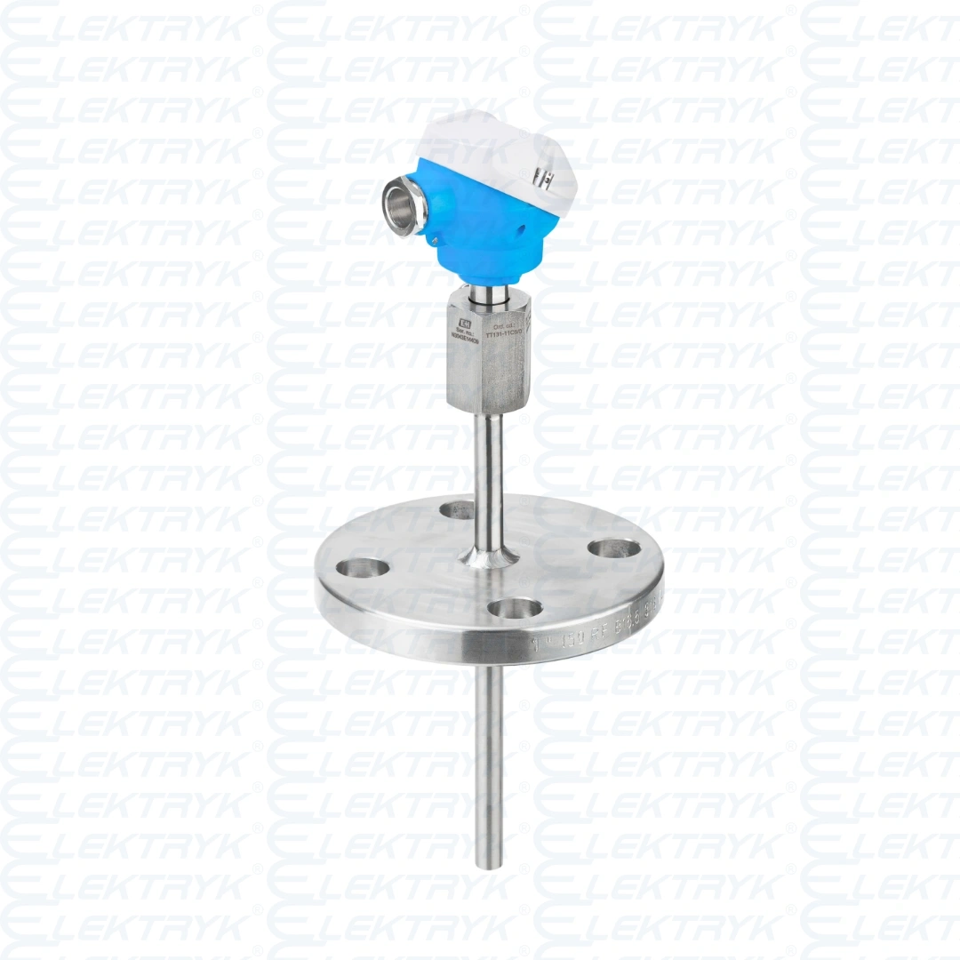iTHERM ModuLine TM121