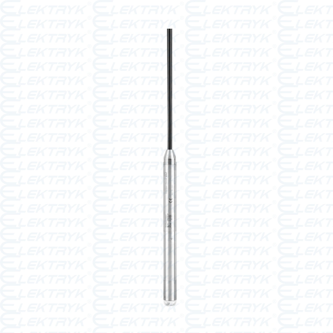 Waterpilot FMX21