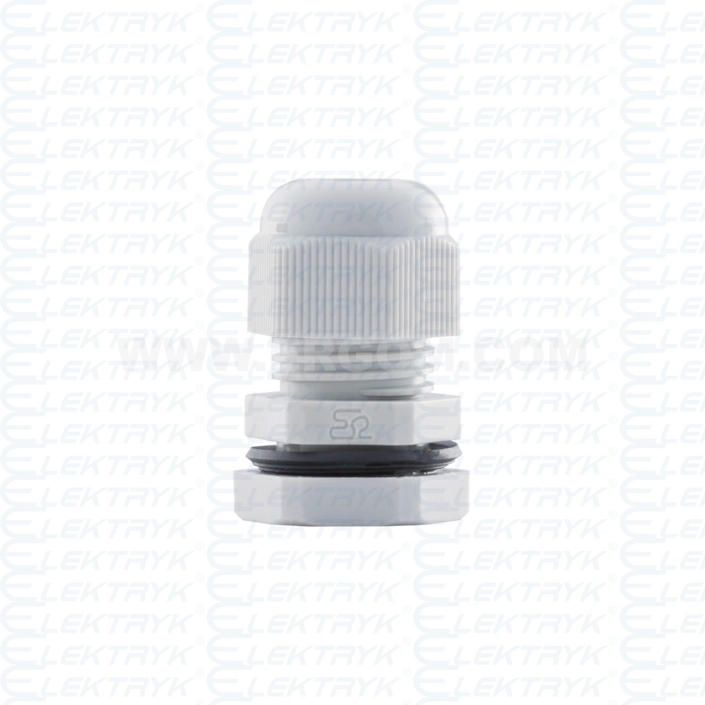 DP 11/H     (100 SZT.)