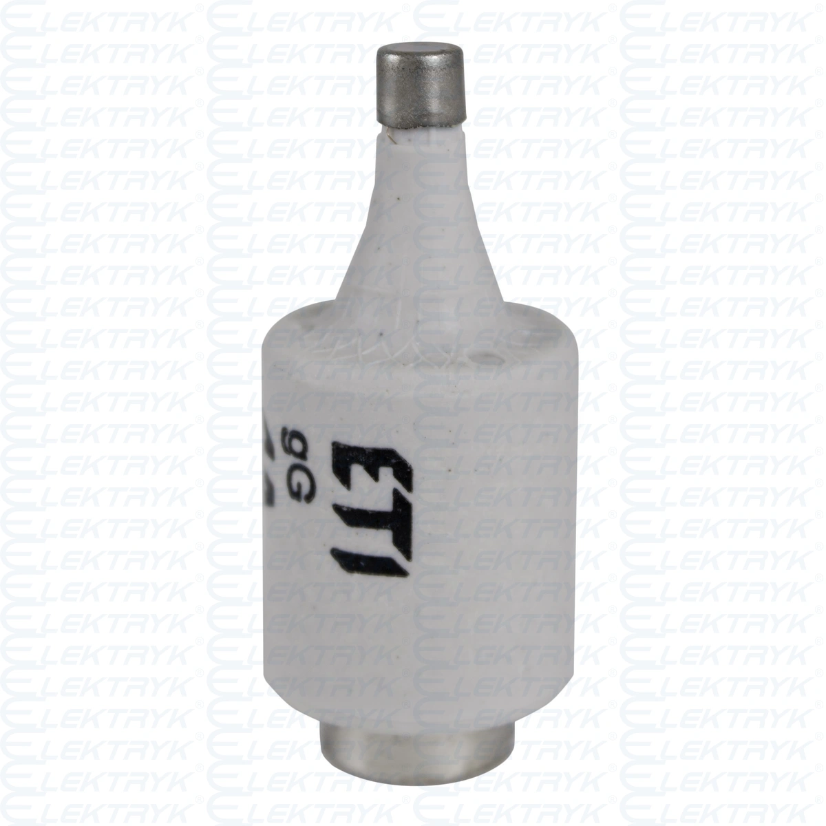 BIWTS DII gF 25A wkładka topikowa