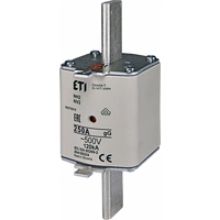 NH2C gG 250A/500V Wkładka topikowa 250A (WT-2C/gG)