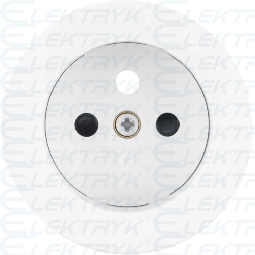 Płytka czołowa do gniazda z/u biały, połysk, R.Clasic