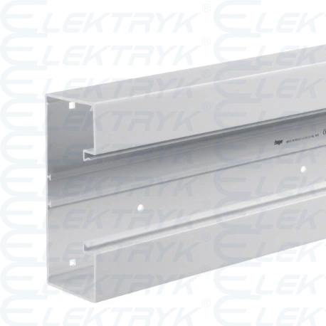 tehalit.BRP Kanał PVC podstawa 65x170, biały