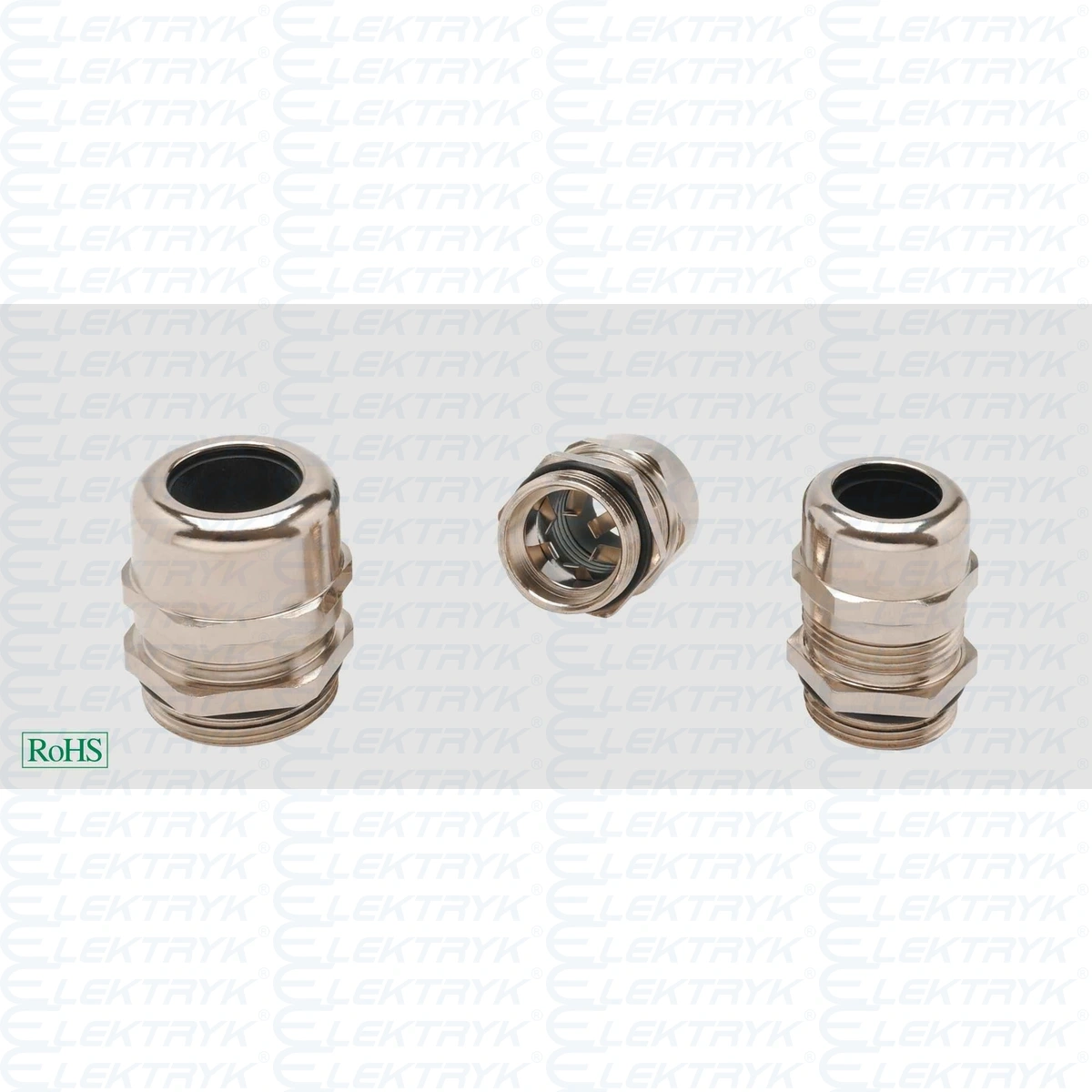 BSK-MS-E PG11