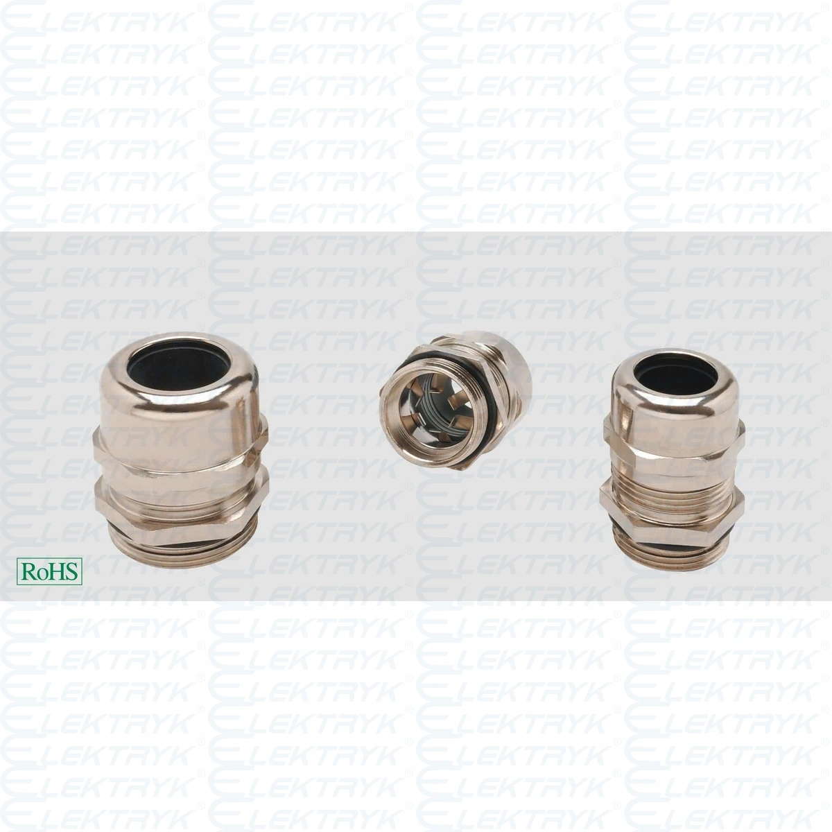 BSK-MS-E PG11