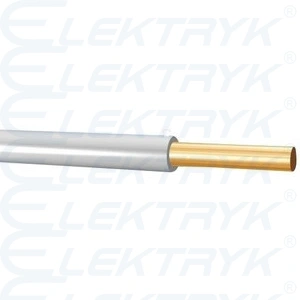 DY 1x2,5 BIAŁY 450/750V Przewód H07V-U
