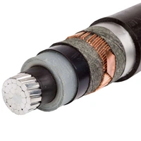 XRUHAKXS 1x120/25 kabel SN 12/20KV