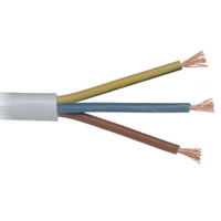 OMY 3x0,75    300/300 Przewód BIAŁY