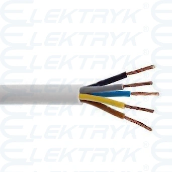 OWY 5x4 BIAŁY 300/500 Przewód H05VV-F