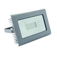 Naświetlacz antra led100w-nw gr