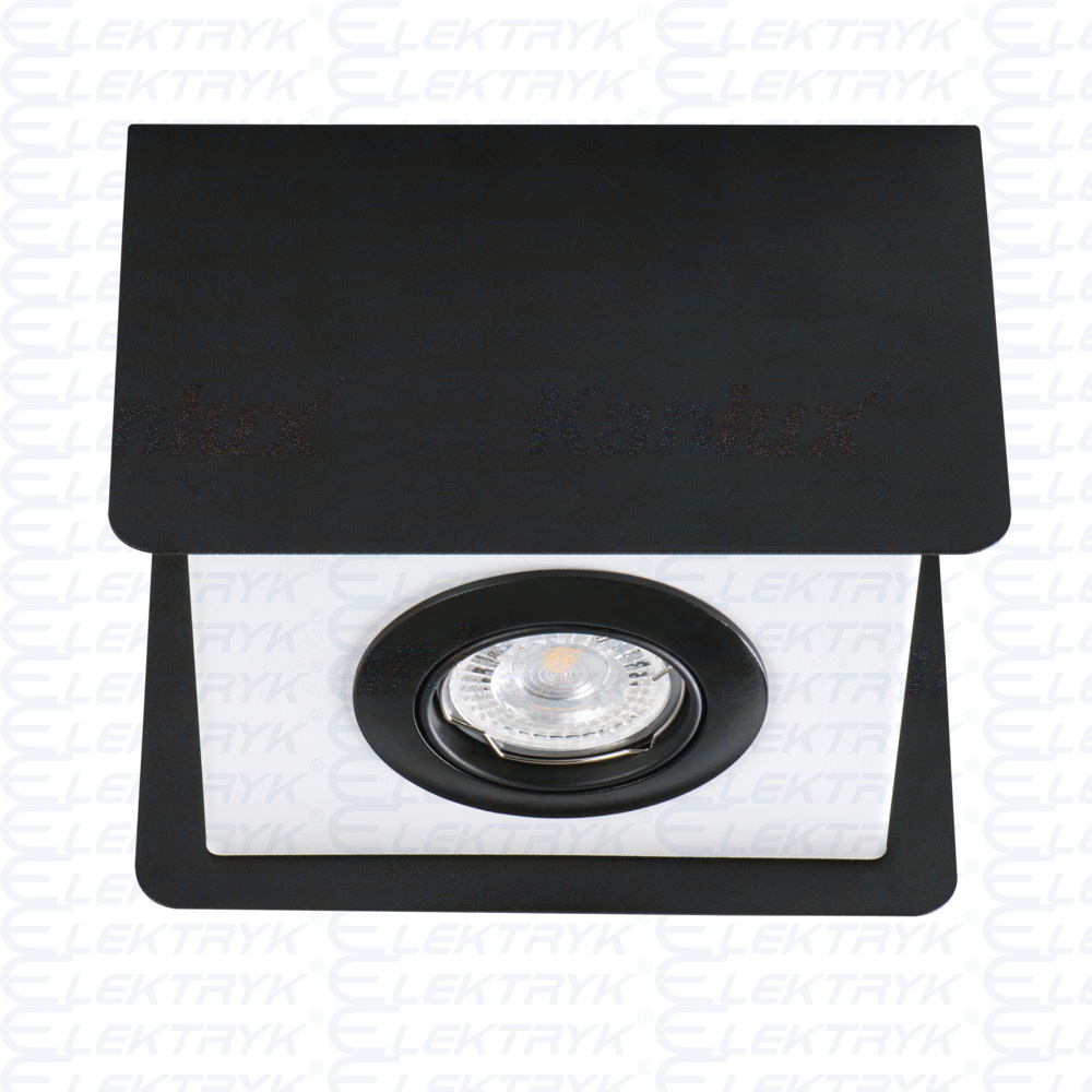 Sufitowa oprawa punktowa torim dlp-50 b-w