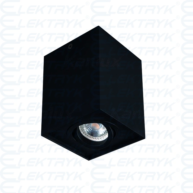 Sufitowa oprawa punktowa gord dlp 50-b