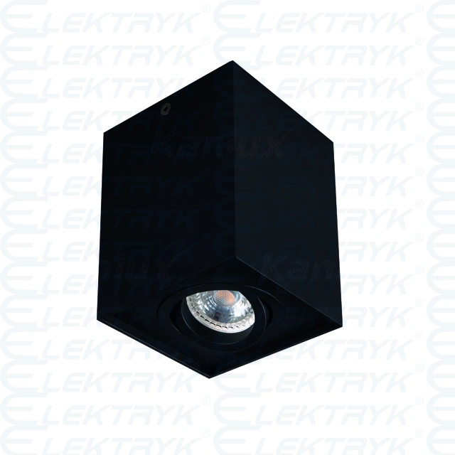 Sufitowa oprawa punktowa gord dlp 50-b