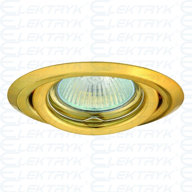 Sufitowa oprawa punktowa argus ct-2115-g