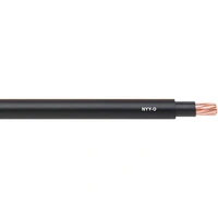 4G16 re NYY-J kabel ziemny