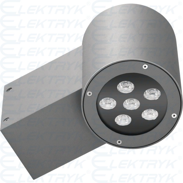 ROTUNDA 1 LED  ED 6x1W biały 3000K IP65 45° szary