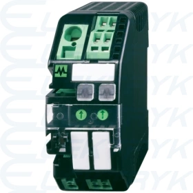 9000-41042-0100400 Moduł MICO 2.4, 2-kanałowyWE:24VDC WY:24V/1-2-3-4ADC