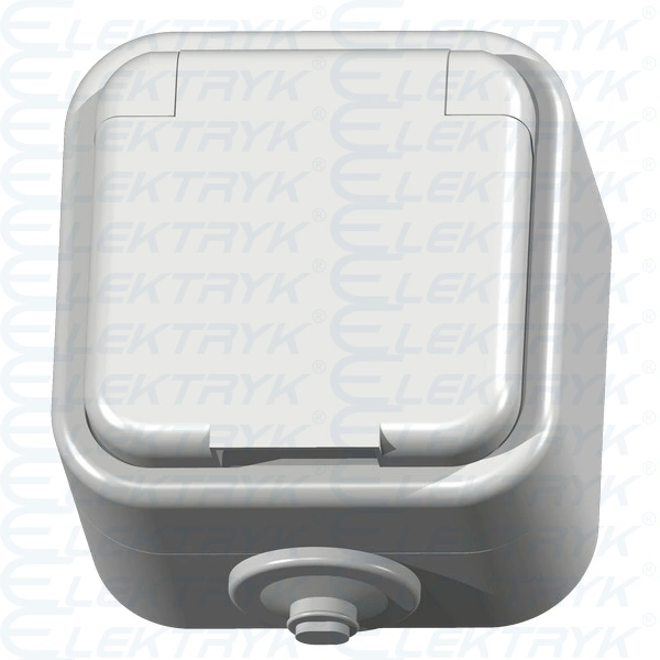 DELFINA Gniazdo pojedyncze z uziemieniem wieczko w kolorze wyrobu IP44 Biały