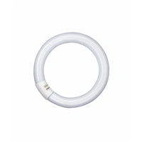 LUMILUX® T9 C 22 W/840 G10Q