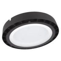 HIGH BAY VALUE 200W/4000K 100DEG IP65      LEDV