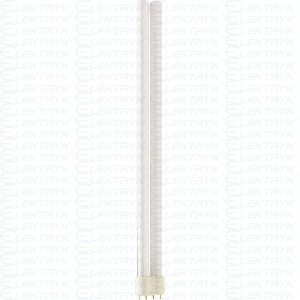 PL-L 36W/840/4P 1CT/25 świetlówka Master