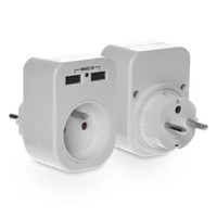 R-1USB Gniazdo z uziemieniem 1P+Z, 10A, 250V~, 2xUS 2,1A