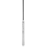 Waterpilot FMX21 Hydrostatyczna sonda pomiaru poziomu 0-10m