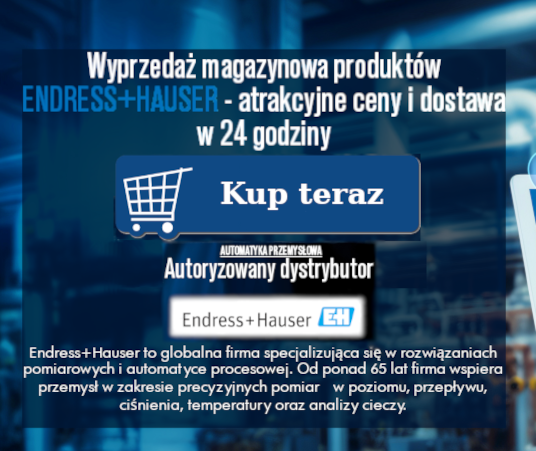 Wyprzedaż EndressHauser